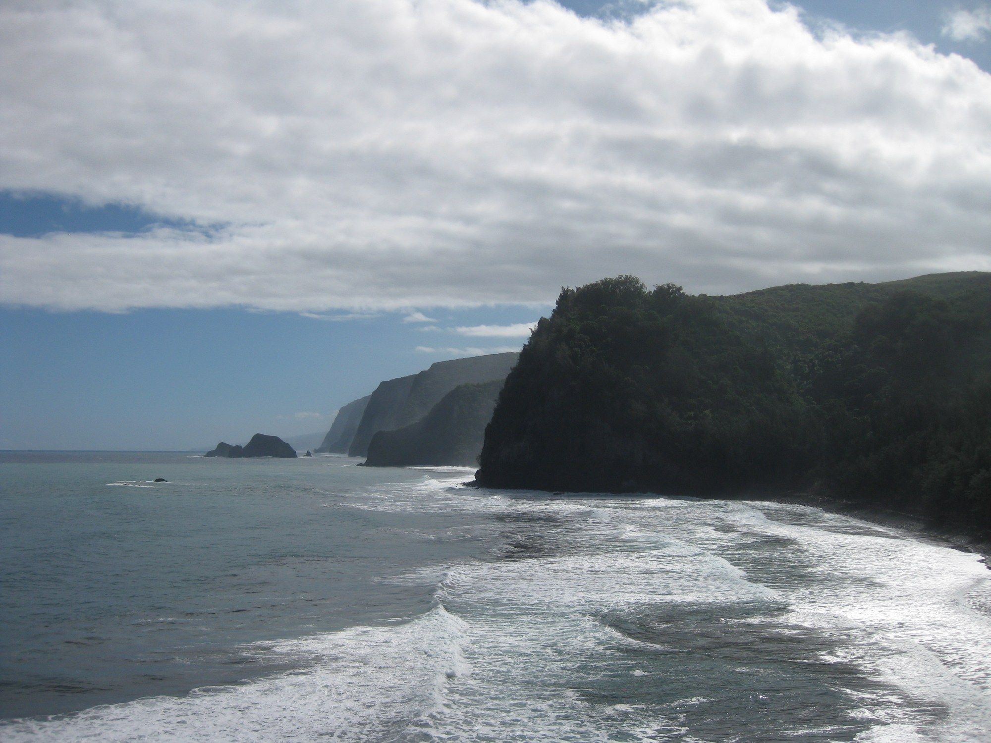 The green sea cliffs above Pololu Valley on the Big Island