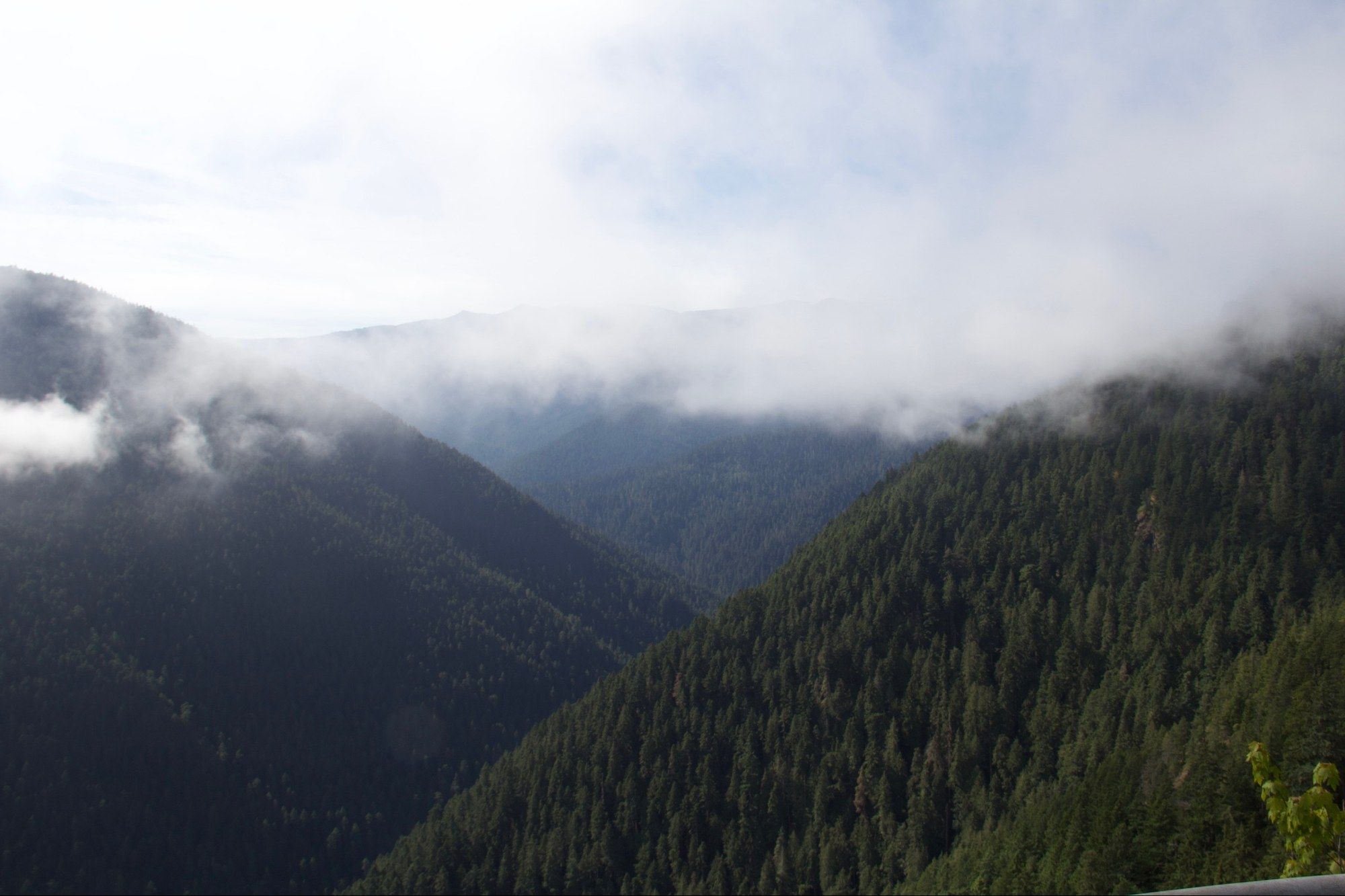 Low cloud drifting through forested ridges in the Olympics