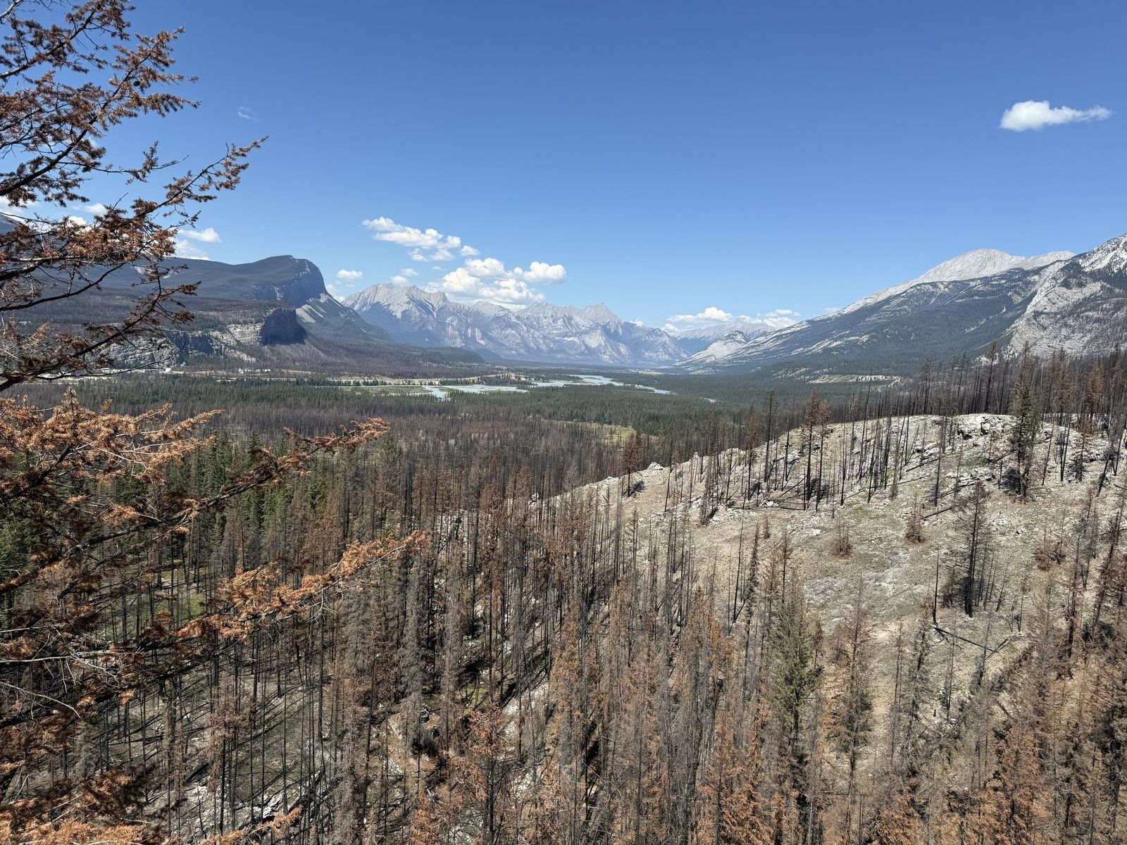 Rocky Mountain valley with a river winding through forest below gray peaks