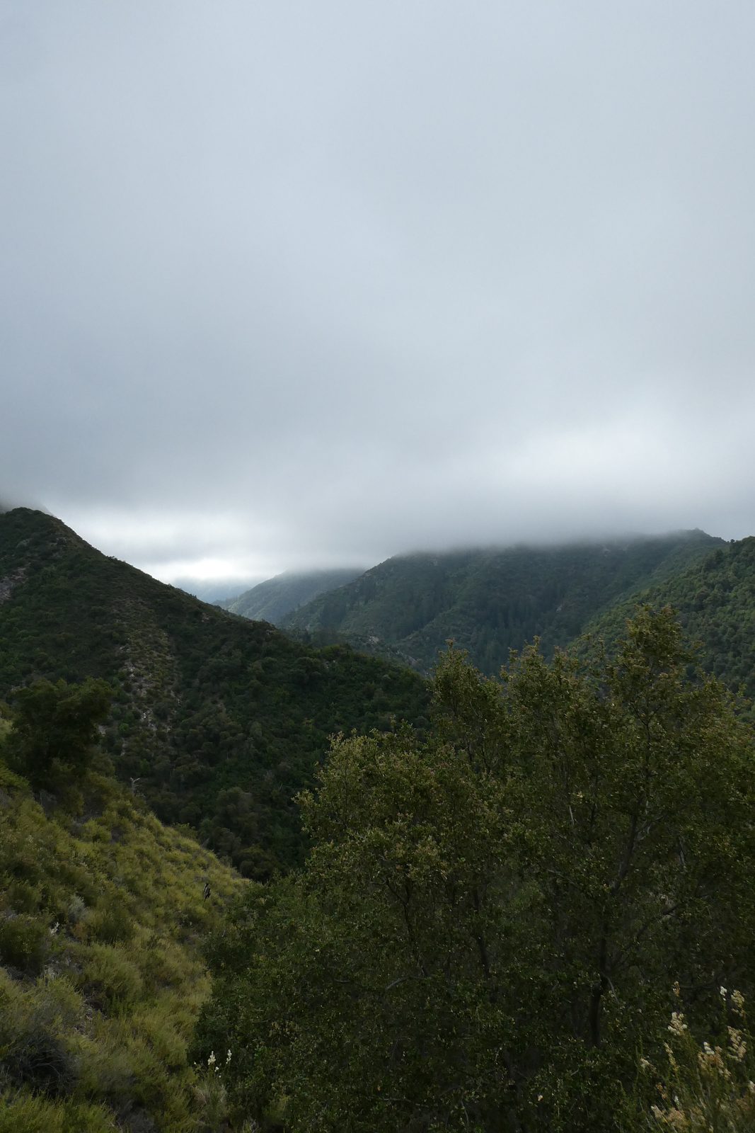 Low fog covering green mountain ridges