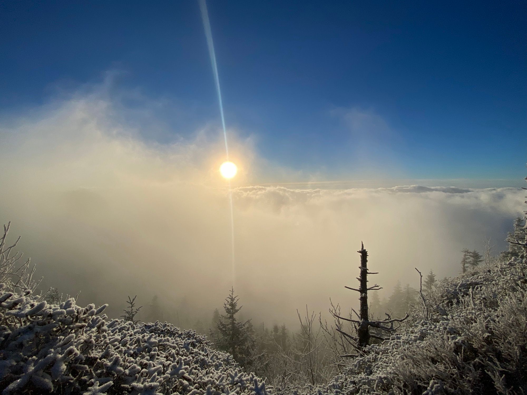 Snow and clouds in the Great Smoky Mountains, Tennessee