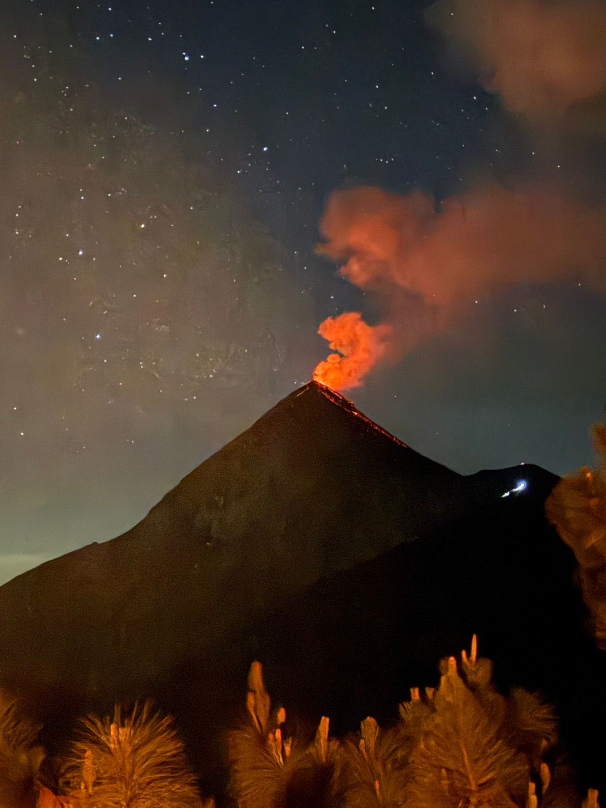 Fuego erupting orange under stars beyond dark pines