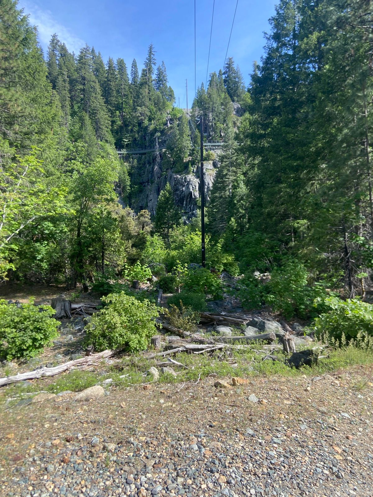 Climbing area at the base of a forested granite wall
