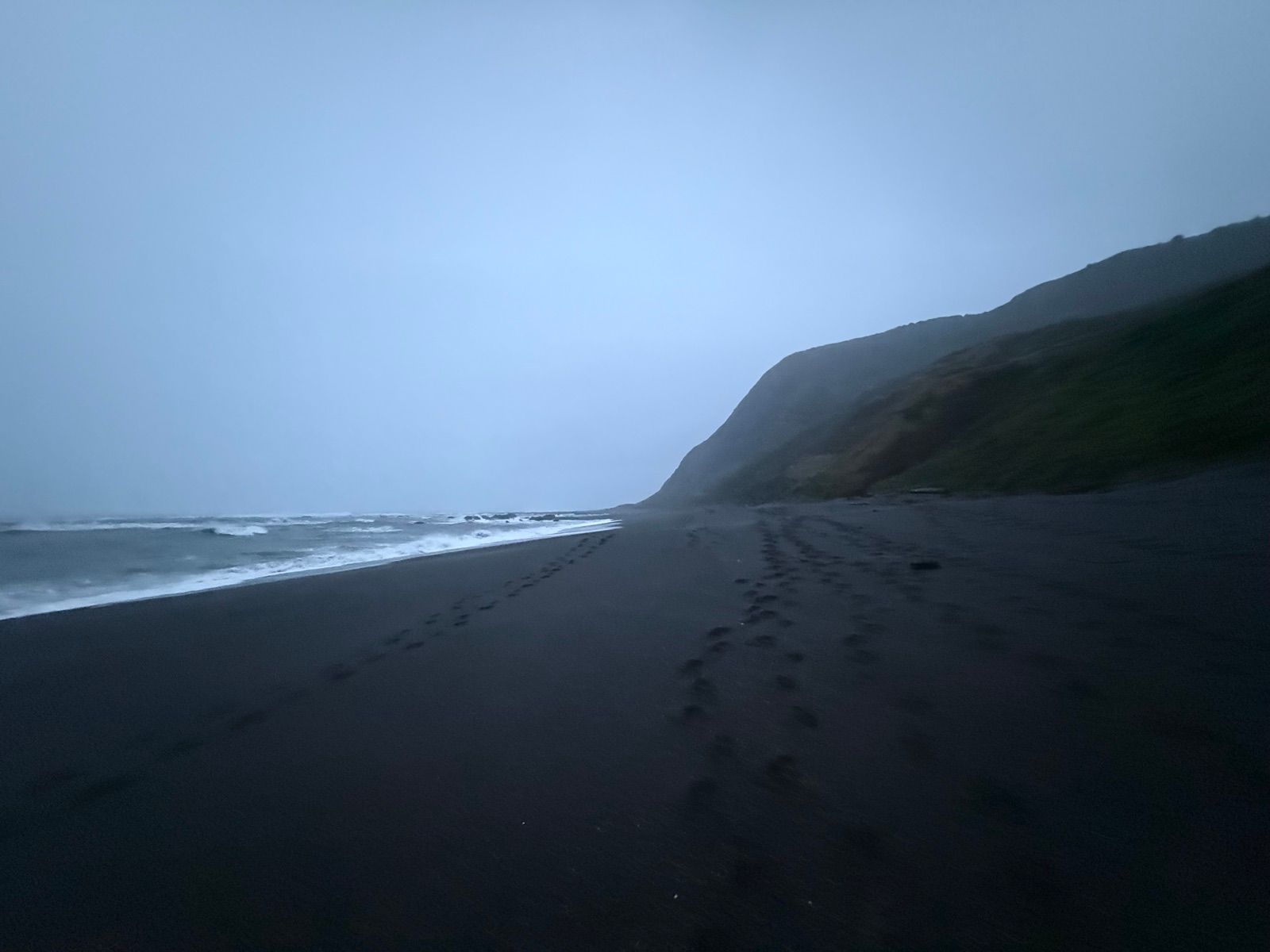 Fog settling over a black sand beach and steep coastal bluffs