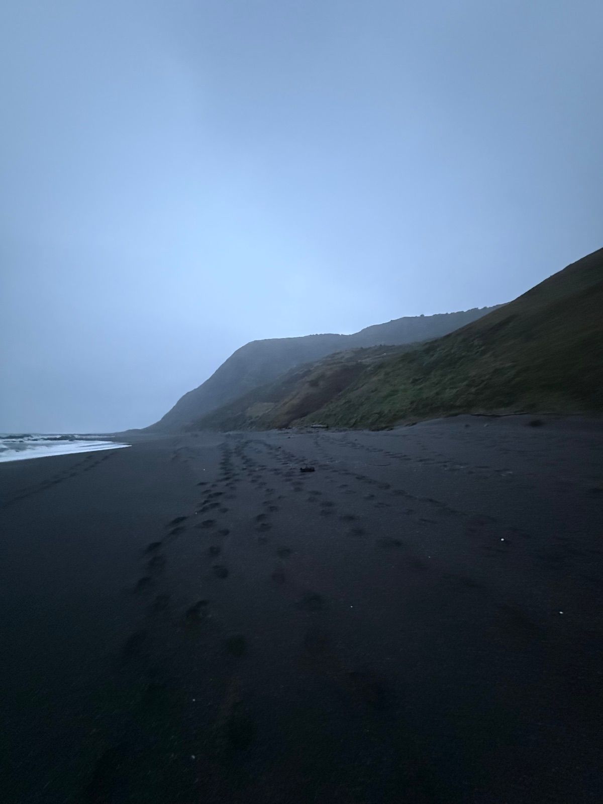 Empty black sand shoreline fading into dense coastal fog