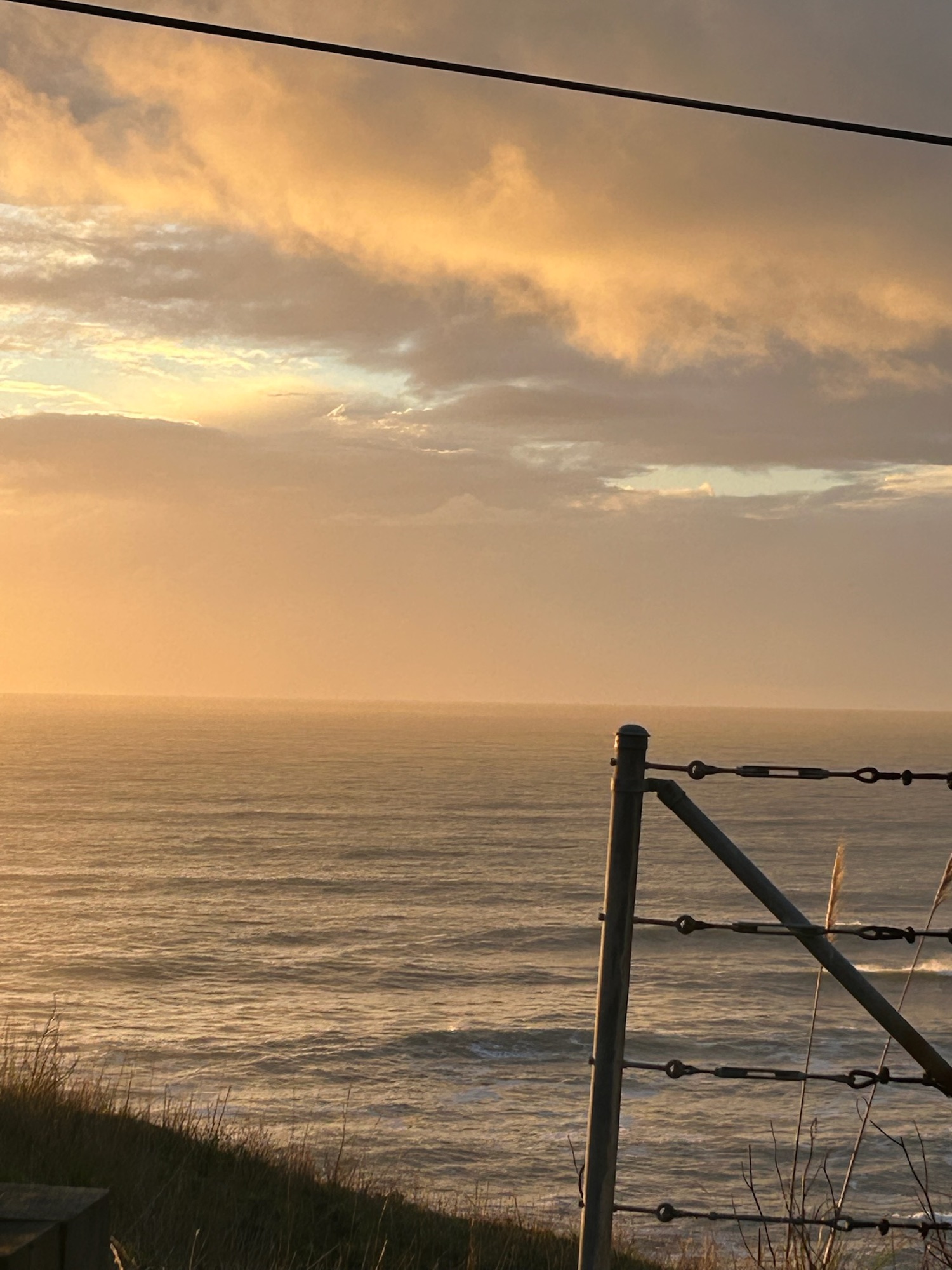 Black sand, fog, and coastal landscape on California's Lost Coast