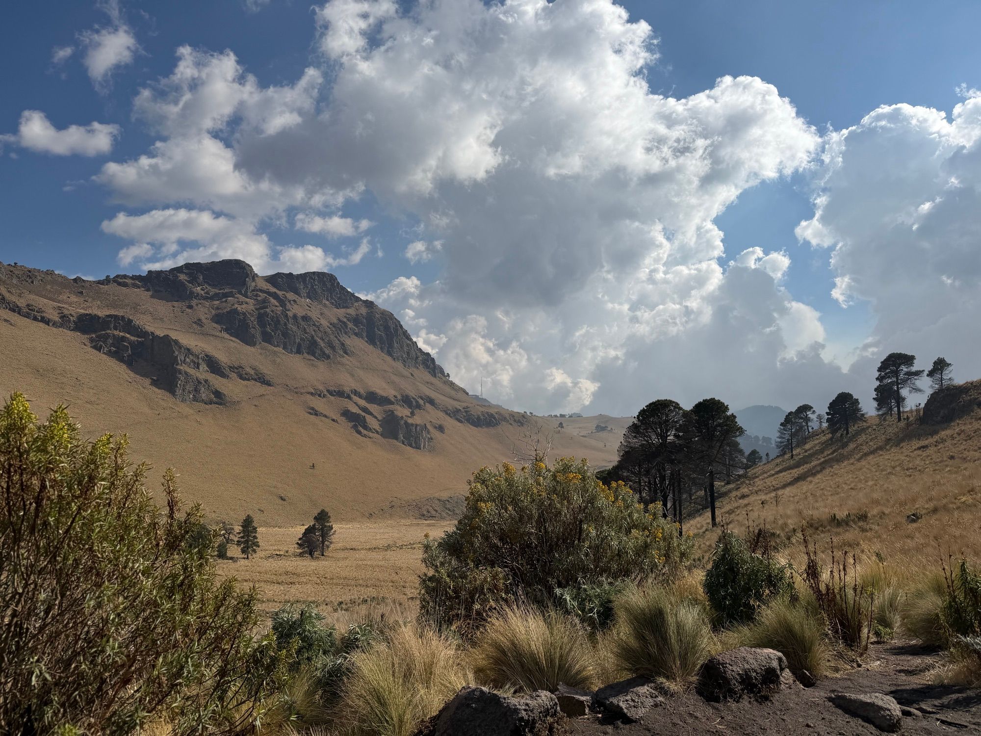 Highlands, pine forest, and volcanoes in central Mexico