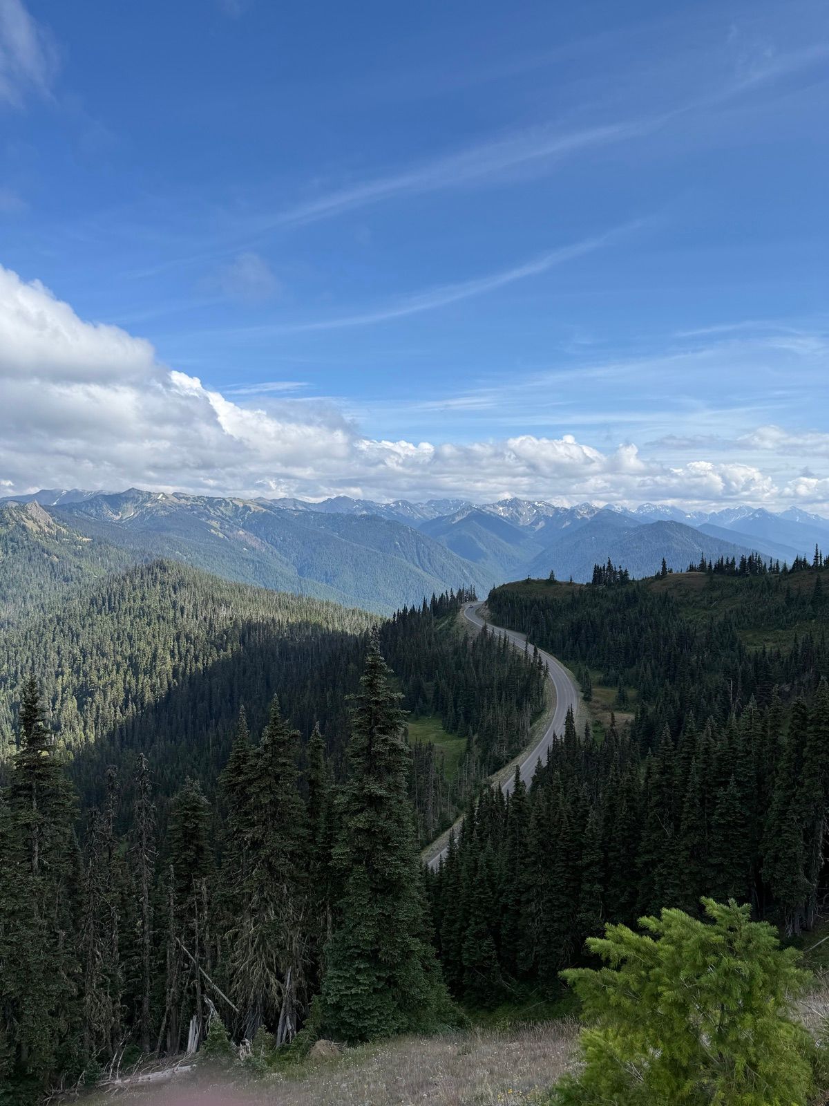 Trail following a forested ridge toward blue mountain ranges