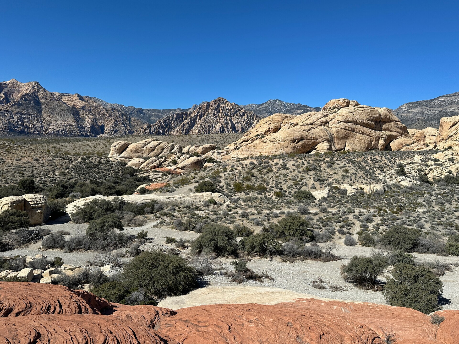 Red sandstone and tan domes spread below gray desert peaks under a clear sky