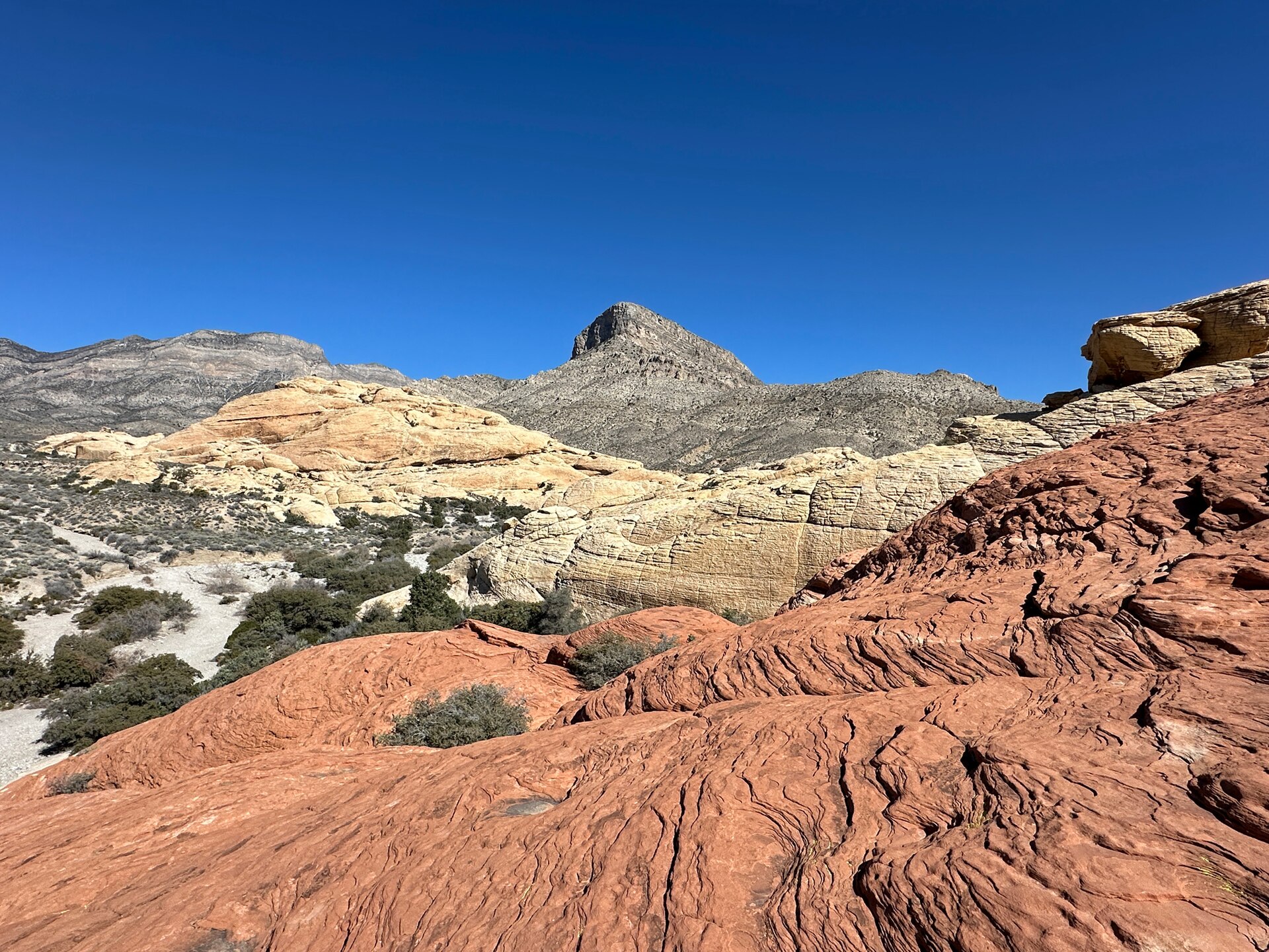Deep red sandstone foreground rising toward cream domes and a gray summit
