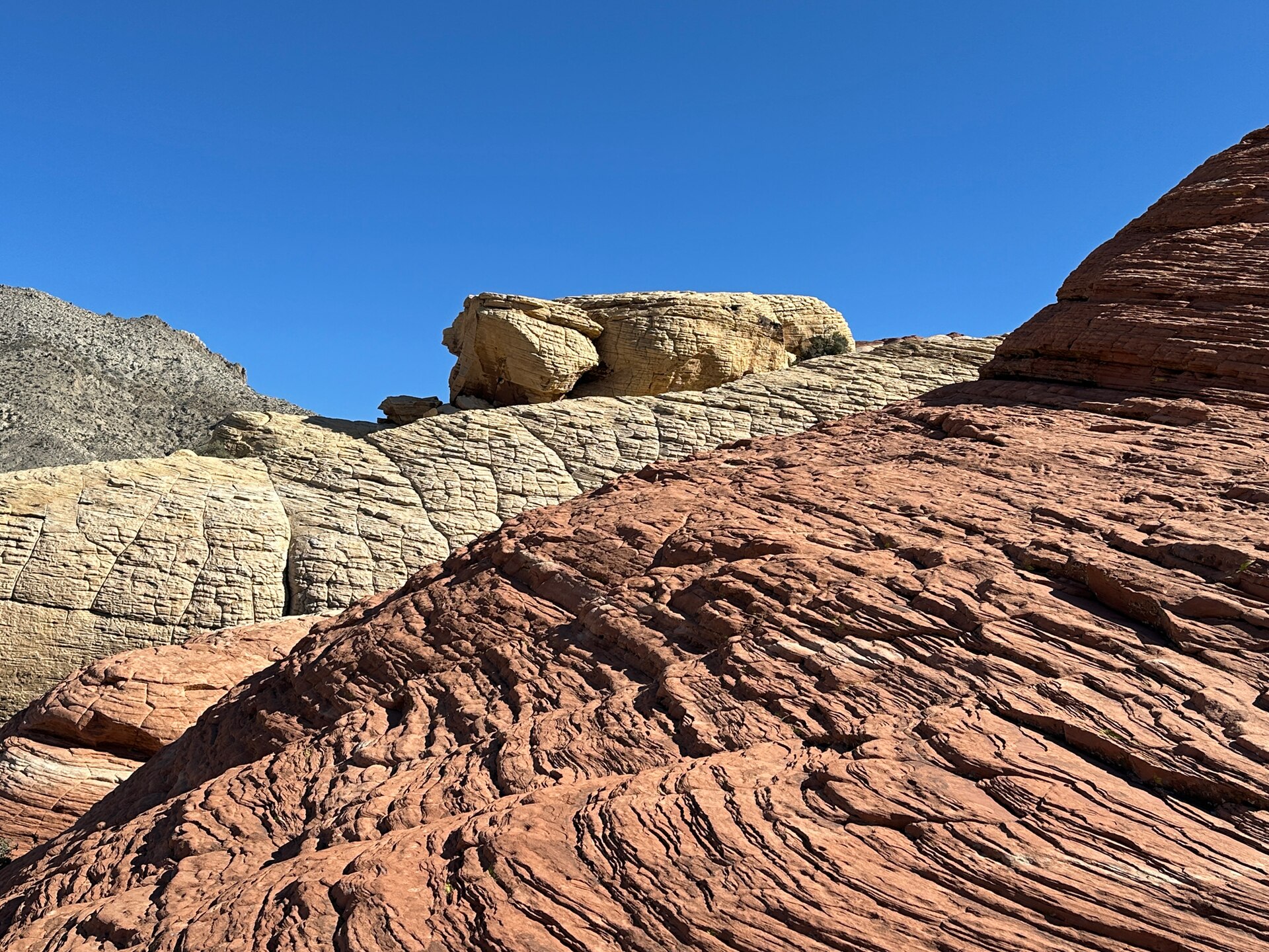 Close view of cross-bedded red and cream sandstone against blue sky