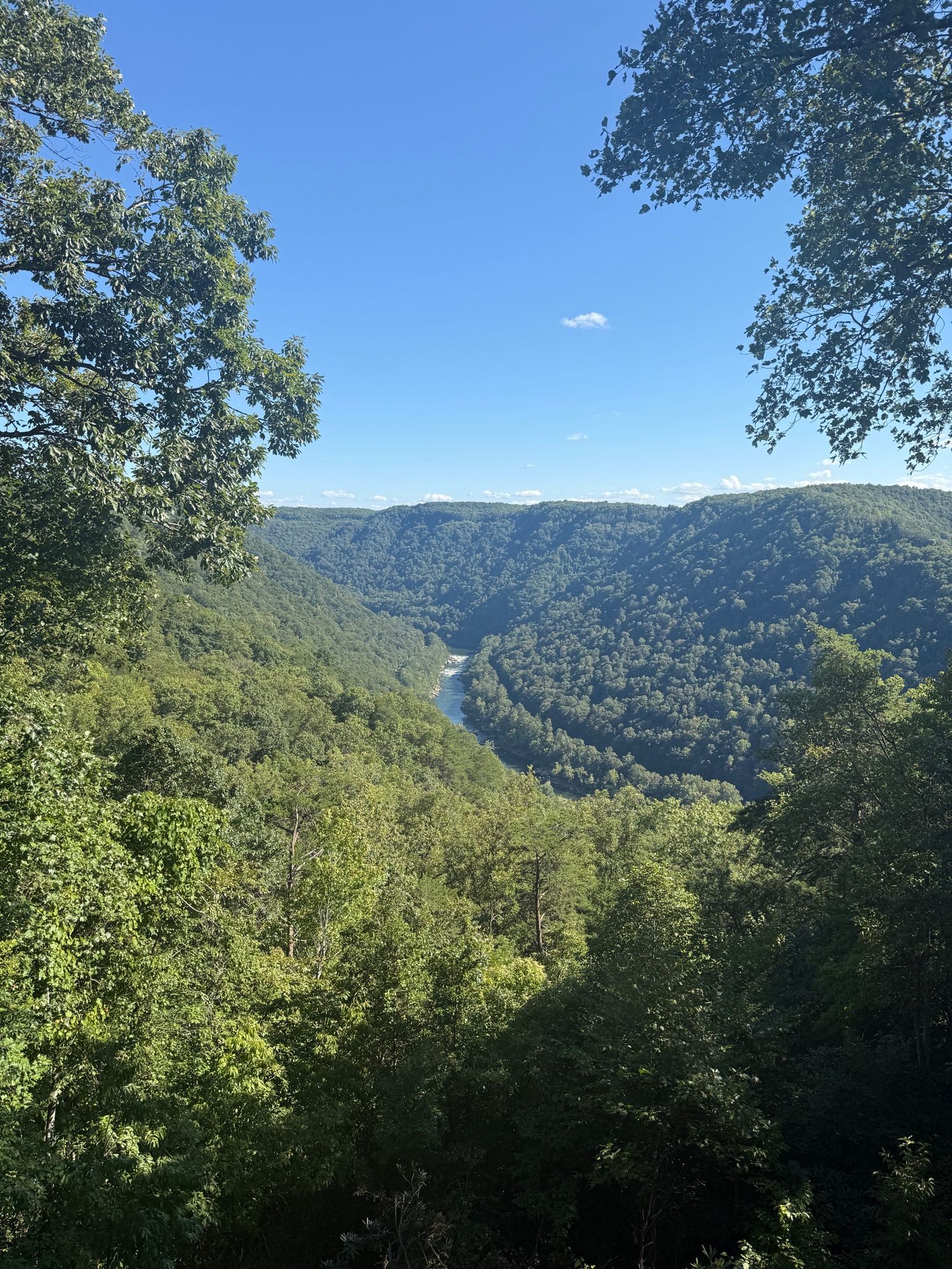 New River Gorge and Appalachian forest in West Virginia