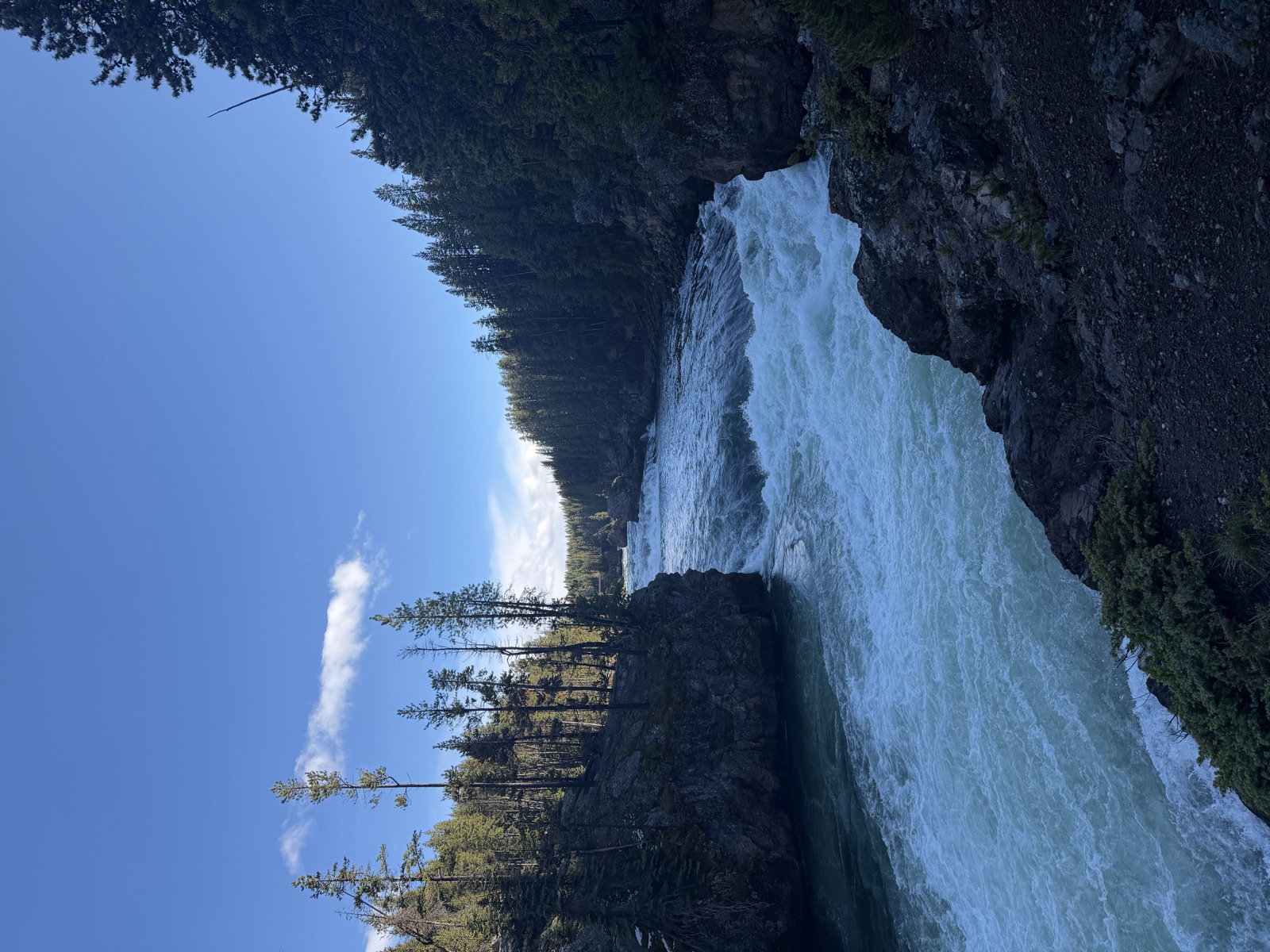 Whitewater river running through a pine-lined rocky canyon