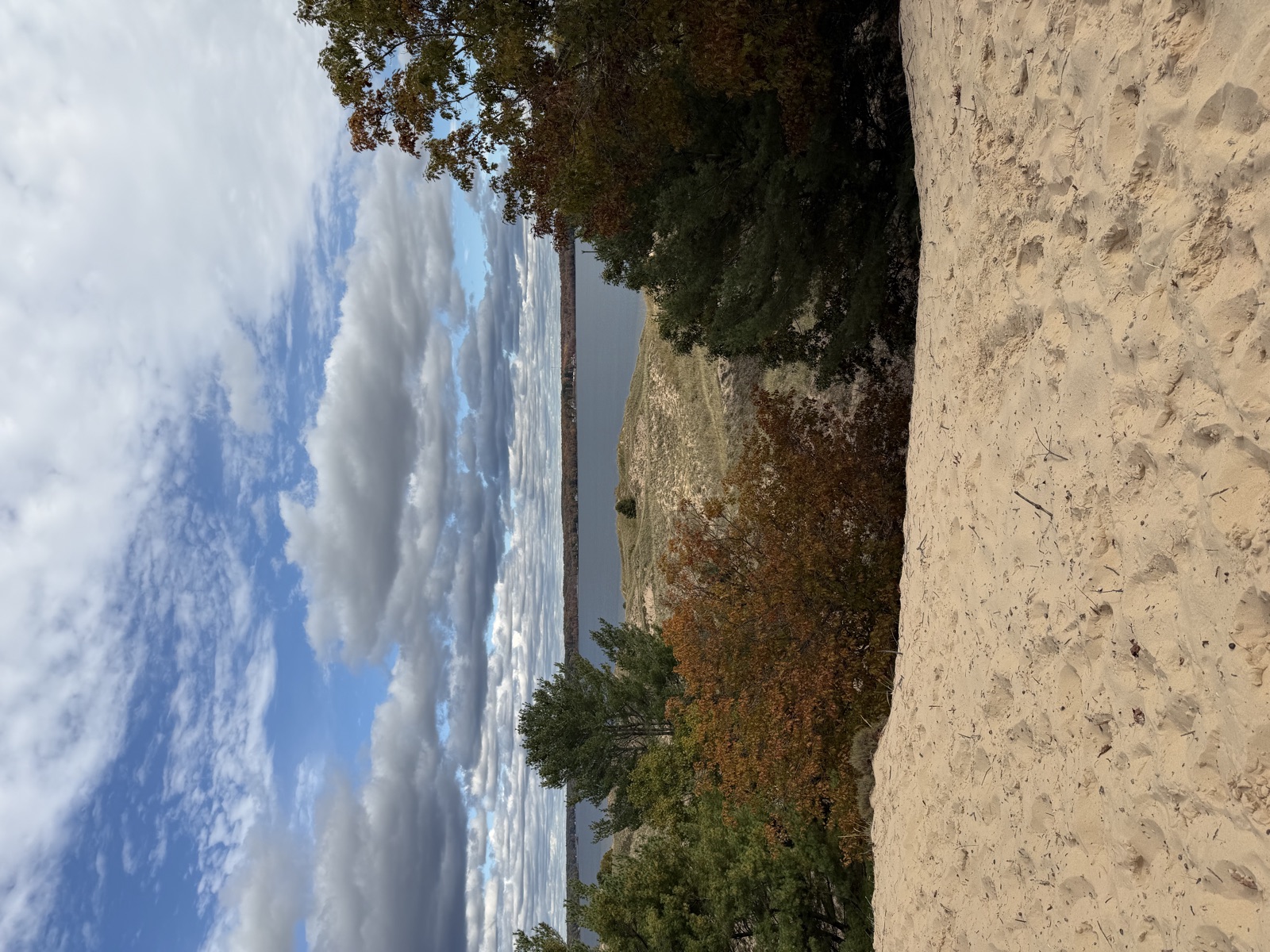 Sandy trail descending between trees toward Lake Michigan