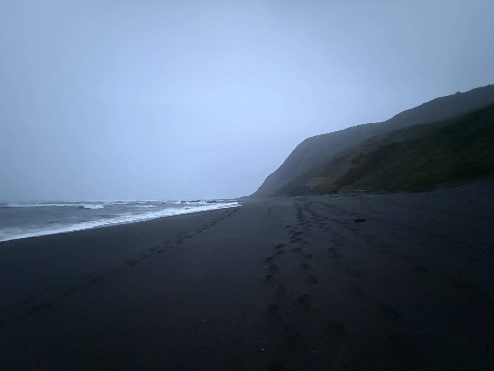 Fog settling over a black sand beach and steep coastal bluffs