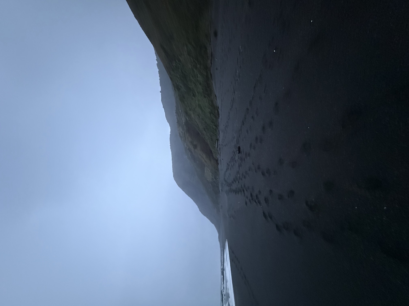 Empty black sand shoreline fading into dense coastal fog