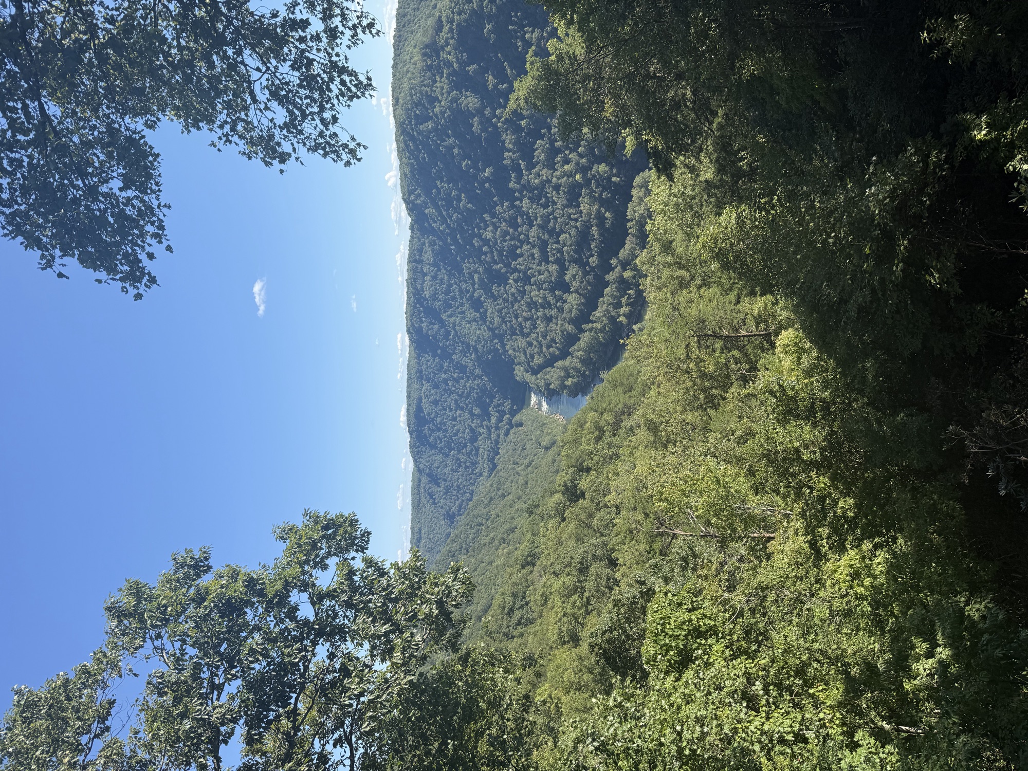 New River Gorge and Appalachian forest in West Virginia